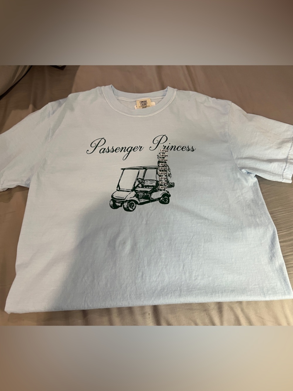 Passenger Princess Light Blue Graphic Tee size large NWT